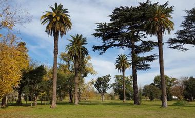 Venta Lotes en barrio privado Saint Joseph