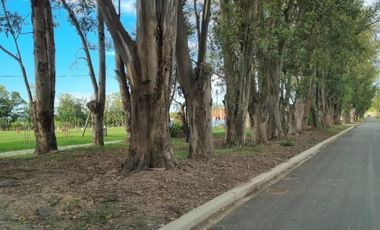 Terreno en venta - 510mts2 - Santa Sofía, Pilar Del Este