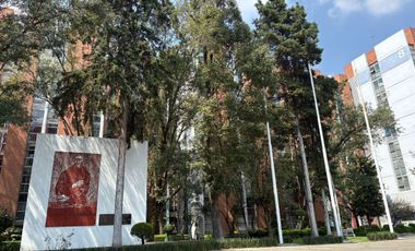 DEPARTAMENTO EN RENTA VILLA OLIMPICA