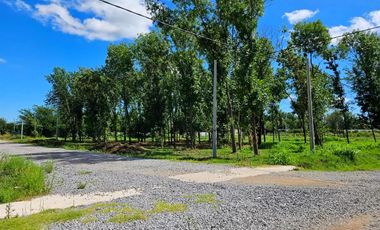 Terreno En Venta Loma Verde