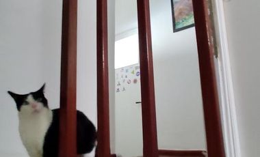 Excelente Piso sobre la Avda. en Escalada Centro fte al FCGR - Residencia Universitaria!!!