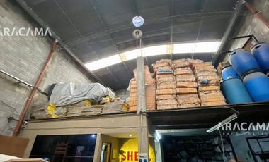 Bruzzone 906 - Monte Grande