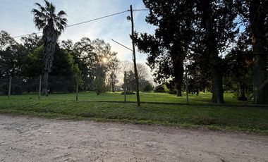 Quinta en venta - 3 Dormitorios 2 Baños - Cochera - 24.149Mts2 - La Plata