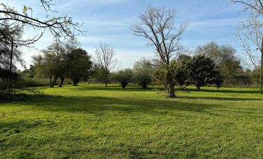 Quinta en venta - 3 Dormitorios 2 Baños - Cochera - 24.149Mts2 - La Plata
