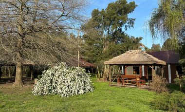 Quinta en venta - 3 Dormitorios 2 Baños - Cochera - 24.149Mts2 - La Plata