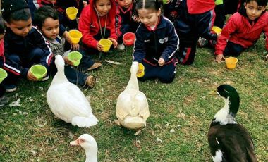 Venta de  Edificio en las Alamedas, Av. Ruiz Cortínez, EHV24