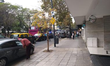 Departamento - Botanico