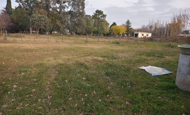 Casa en venta - 3 Dormitorios 1 Baño - Carmen de Areco