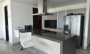 Renta Penthouse Totalmente Amueblado