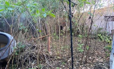 SANTILLI - SUIPACHA 3490 REMEDIOS DE ESCALADA