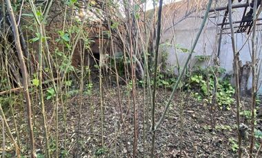 SANTILLI - SUIPACHA 3490 REMEDIOS DE ESCALADA