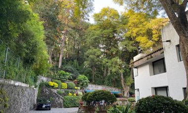 Departamento en Fraccionamiento Rancho Cortes