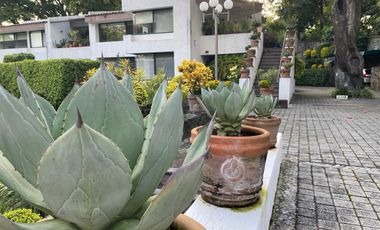 Departamento en Fraccionamiento Rancho Cortes