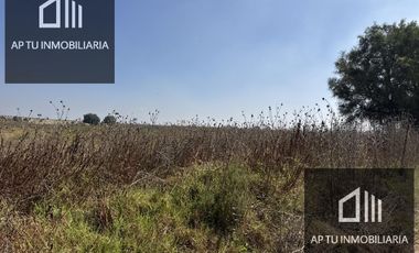 TERRENO EN VENTA EN JALTENCO