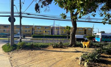 Casa esquina con local comercial en Villa Dulce Ampliación