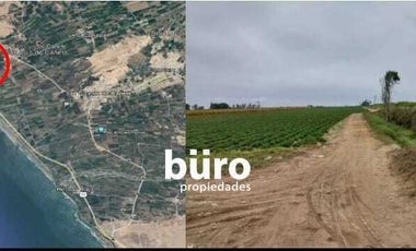 EXCELENTE TERRENO RUSTICO EN ZONA DE EXPANSIÓN URBANA EN VENTA EN CAÑETE