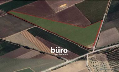 EXCELENTE TERRENO RUSTICO EN ZONA DE EXPANSIÓN URBANA EN VENTA EN CAÑETE