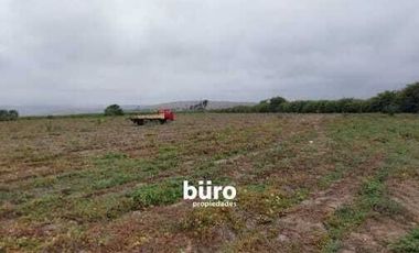 EXCELENTE TERRENO RUSTICO EN ZONA DE EXPANSIÓN URBANA EN VENTA EN CAÑETE