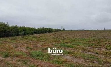 EXCELENTE TERRENO RUSTICO EN ZONA DE EXPANSIÓN URBANA EN VENTA EN CAÑETE