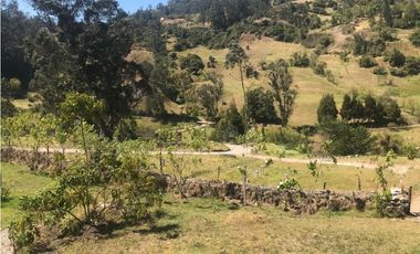 FINCA EN VENTA BOYACA SORACA
