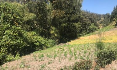 FINCA EN VENTA BOYACA SORACA