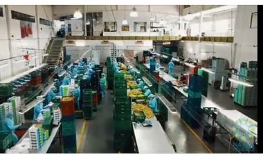 Bodega en arriendo  – Cota, Cundinamarca
