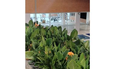 ARRIENDO APTO PARA ESTRENAR PISO 5 CONJUNTO MALACA