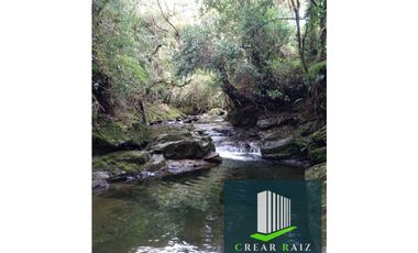 Vendo finca en Sonsón Antioquia