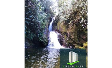 Vendo finca en Sonsón Antioquia