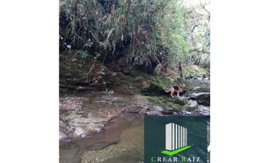 Vendo finca en Sonsón Antioquia