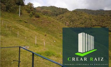 Vendo finca en Sonsón Antioquia