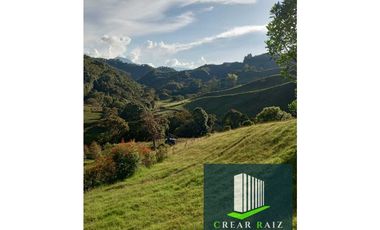 Vendo finca en Sonsón Antioquia