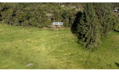 Lotes y casa campestres