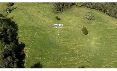 Lotes y casa campestres