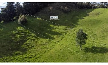 Lotes y casa campestres