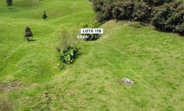 Lotes y casa campestres