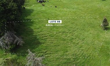 Lotes y casa campestres