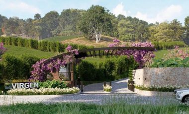 Lotes y casa campestres