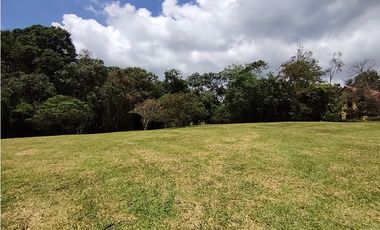 LOTE EN VENTA AUTOPISTA DEL CAFE