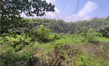 Vía Daule, KM 11 Sector INMACONSA Terreno Industrial de 15.117 m²