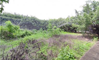 Vía Daule, KM 11 Sector INMACONSA Terreno Industrial de 15.117 m²