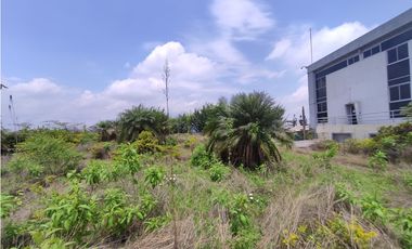 Vía Daule, KM 11 Sector INMACONSA Terreno Industrial de 15.117 m²