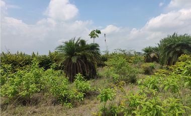 Vía Daule, KM 11 Sector INMACONSA Terreno Industrial de 15.117 m²