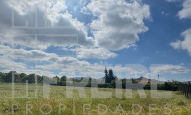 Parcela 5000m2 Condominio Doña Elsa Del Oliveto, Talagante.