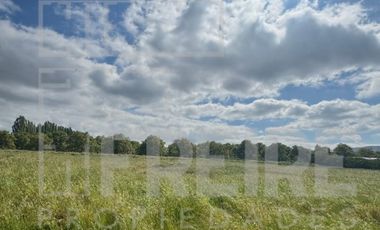 Parcela 5000m2 Condominio Doña Elsa Del Oliveto, Talagante.