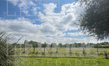 Parcela 5000m2 Condominio Doña Elsa Del Oliveto, Talagante.