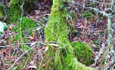 Parcela en venta en COLBÚN