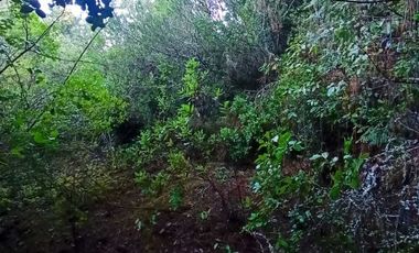 Parcela en venta en COLBÚN