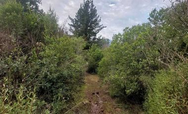 Parcela en venta en COLBÚN