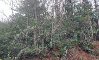 Parcela en venta en COLBÚN